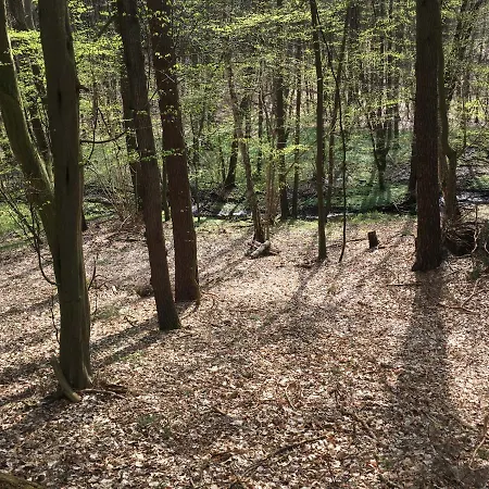 Am Waldessaum Bei Dom wakacyjny *