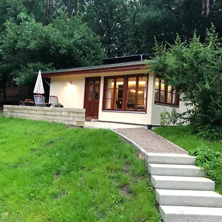 Am Waldessaum Bei Hohenzieritz